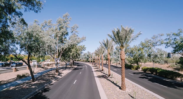 A key part of this project was to improve the aesthetics of the medians that line the entrance to the Scottsdale Princess Resort. (Photo: LandCare) 