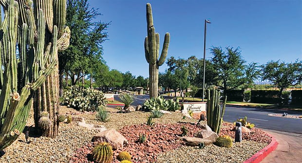 Hardscape Solutions: Cactus makes perfect