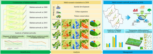 Simulation of habitat networks and sustainable optimization strategies for sectional functional impairments based on “land-species” coupling