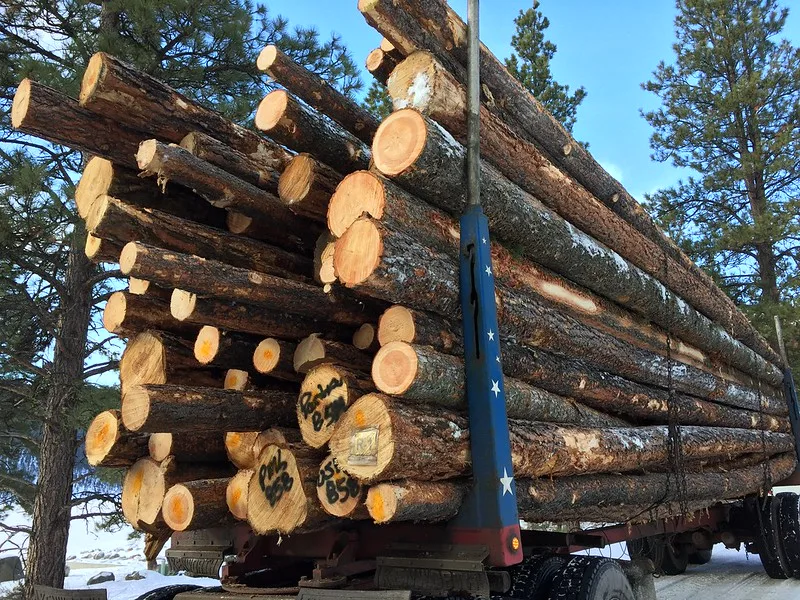 President Trump issues the implementation regulation, which deals with the threat of national security from the imports of wood, Lumber - Montana Outdoor