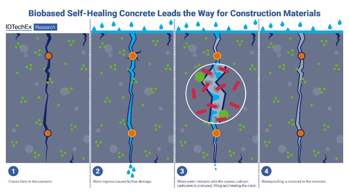 Self -healing materials to build on the success in the construction industry