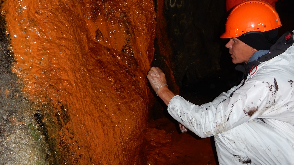 Study finds concrete eating bacteria on street tunnels