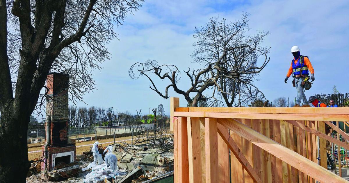 After the fires of Los Angeles, the residents begin to rebuild | News