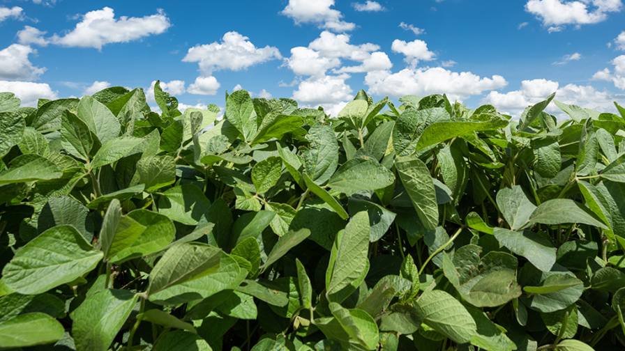 Certis Biologics scales innovations with a purpose: relief of proven biologicals, with which, not against it, conventional AG work