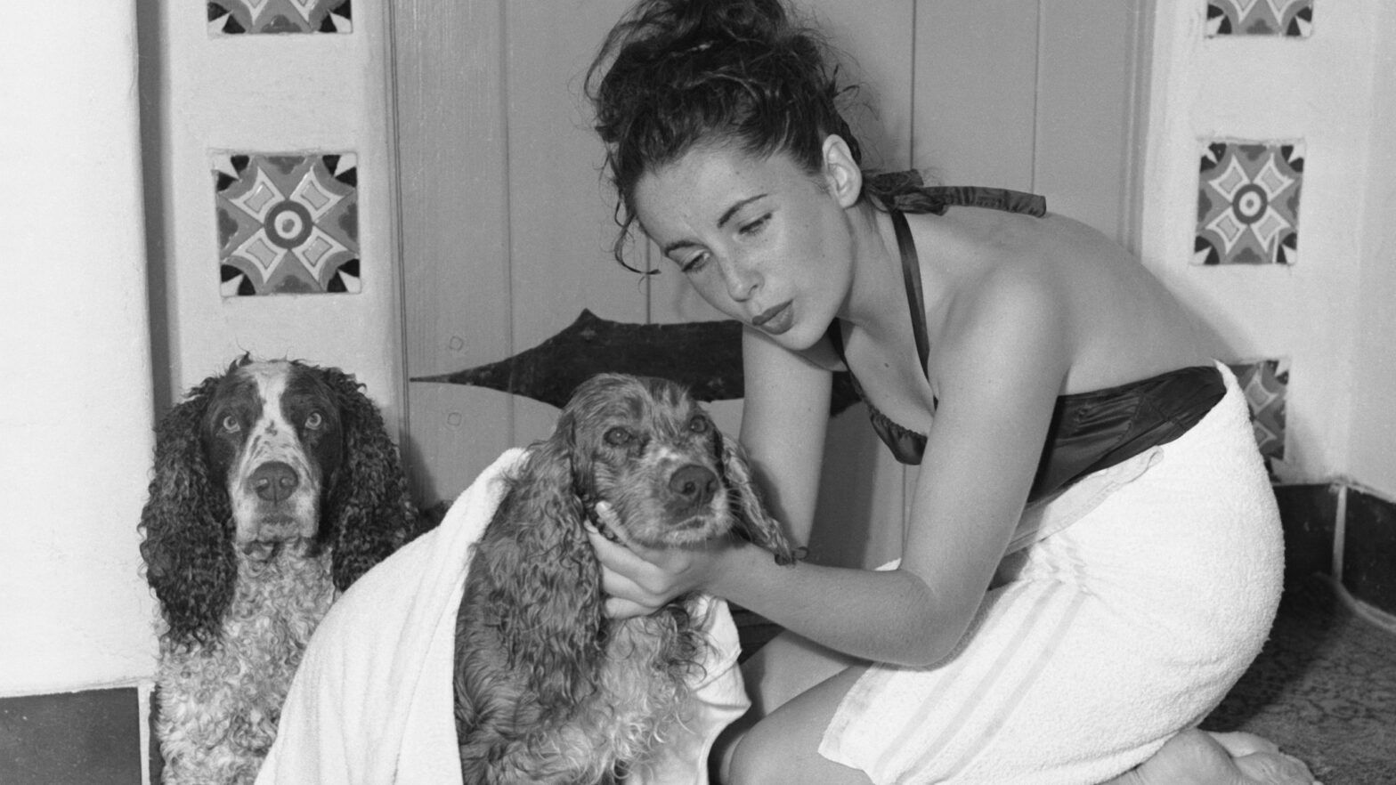 Elizabeth Taylor at home: 21 photos of the domestic life of the Golden Age of the Star