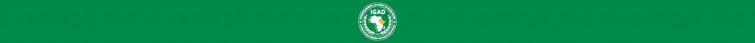 IGAD houses capacity building training training in class design to advance the e-learning rollout