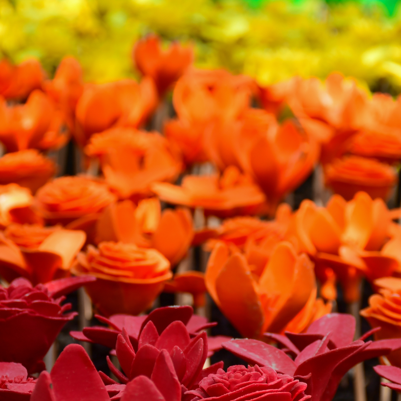Flower 3D printed flowers transform the preservation into a shining meadow