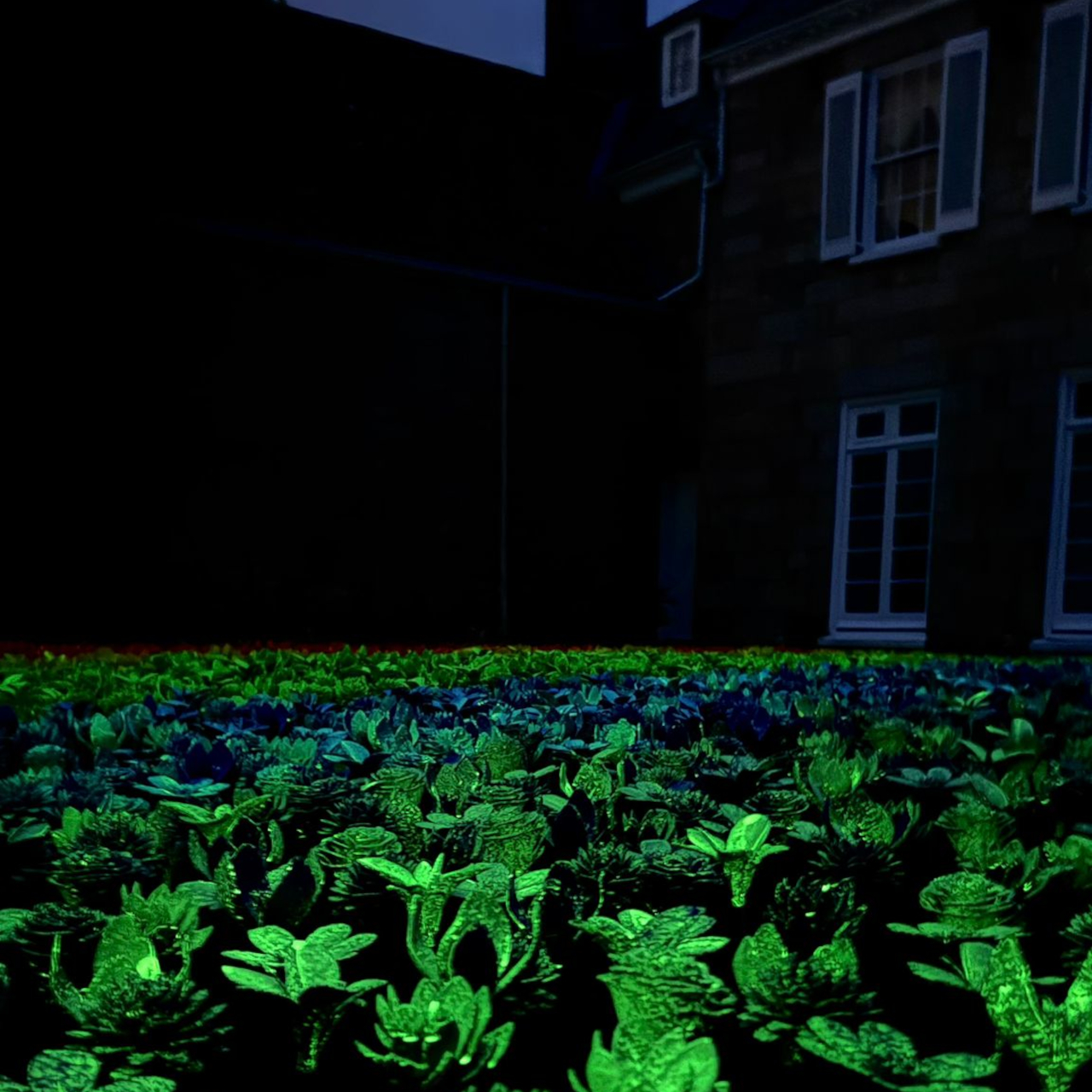 Flower 3D printed flowers transform the preservation into a shining meadow