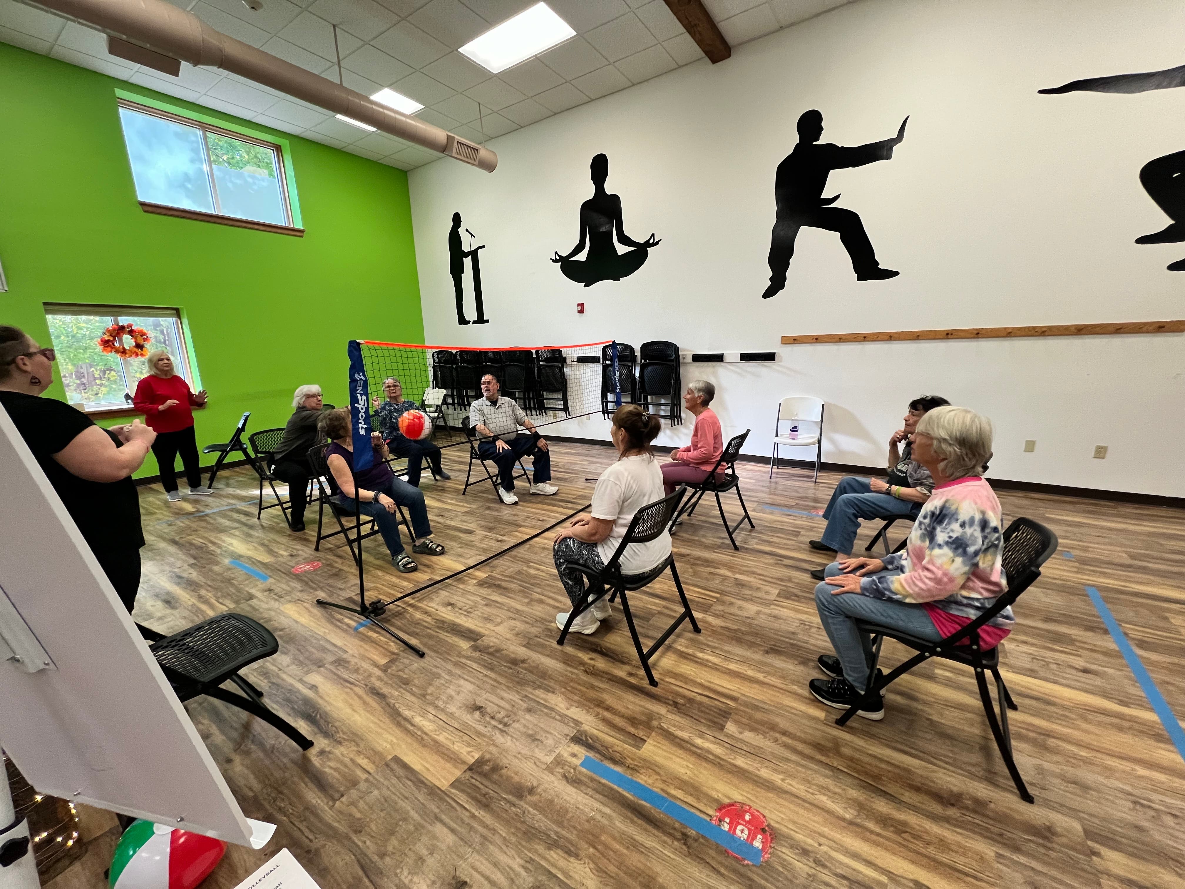 Inner chair volleyball