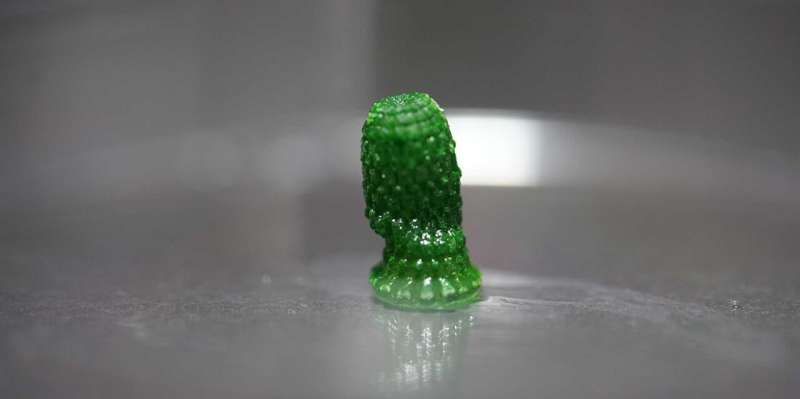 3D printed "pineapple" With cyanobacteria, after a development phase of 60 days, it grows inside. The green color comes from the chlorophyll of photosynthetic bacteria. Credit: Yifan Cui / ETH Zurich A building material that lives and stores carbon