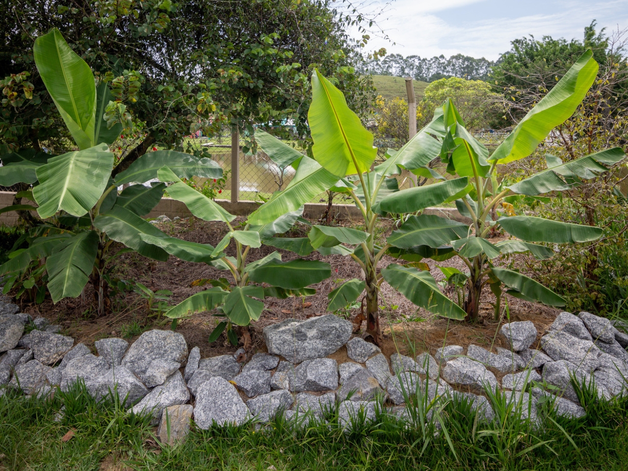 Sustainable school in Brazil breathes new life in rural education