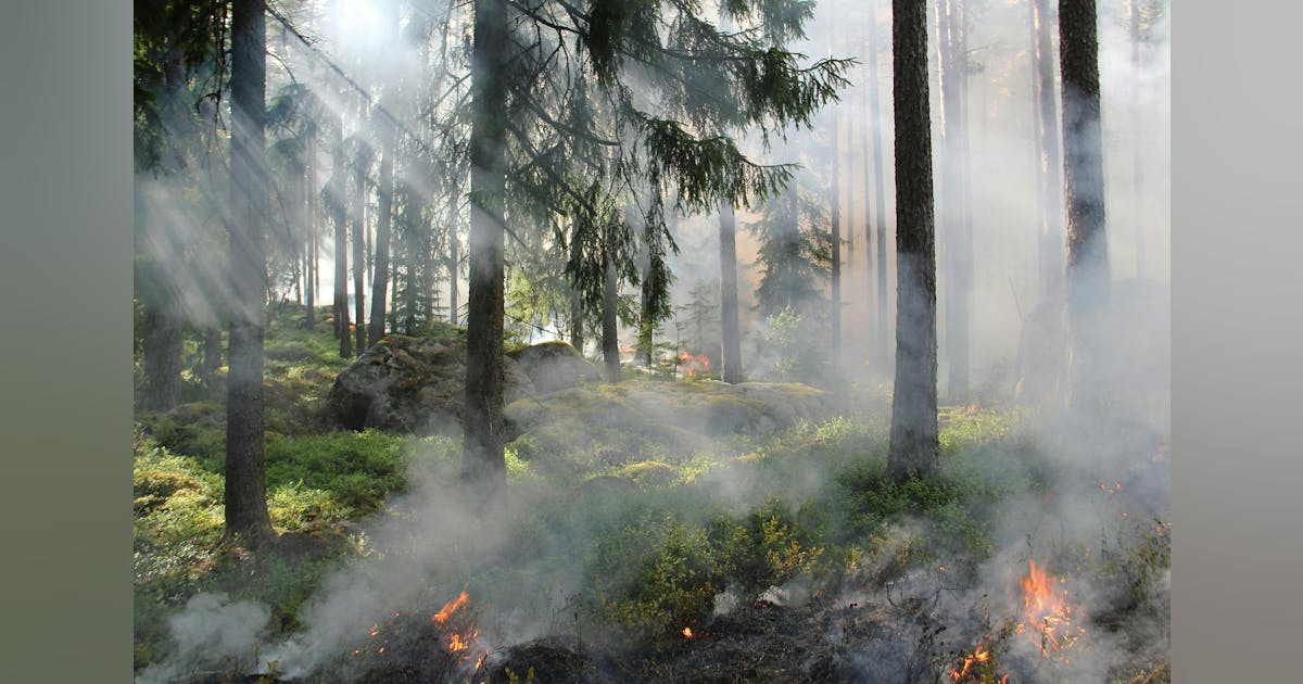 AIA starts a new climate risk -factsheet