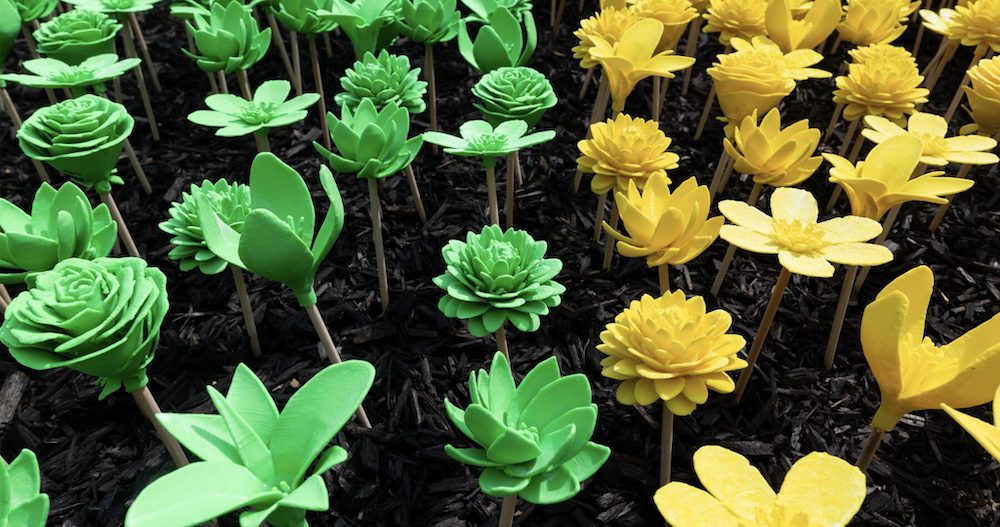 Jersey Zoo Bloom Installation