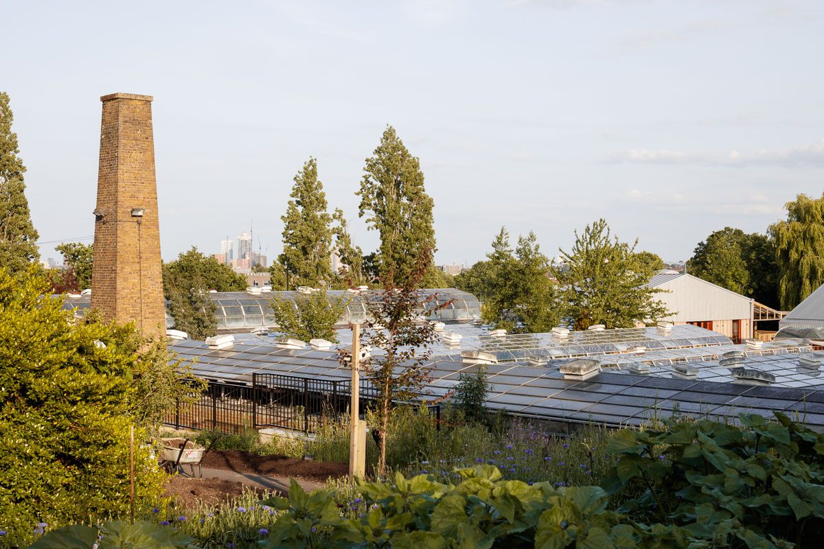 Wolves Lane Center, a common room in a wood, earth and other natural and sustainable materials