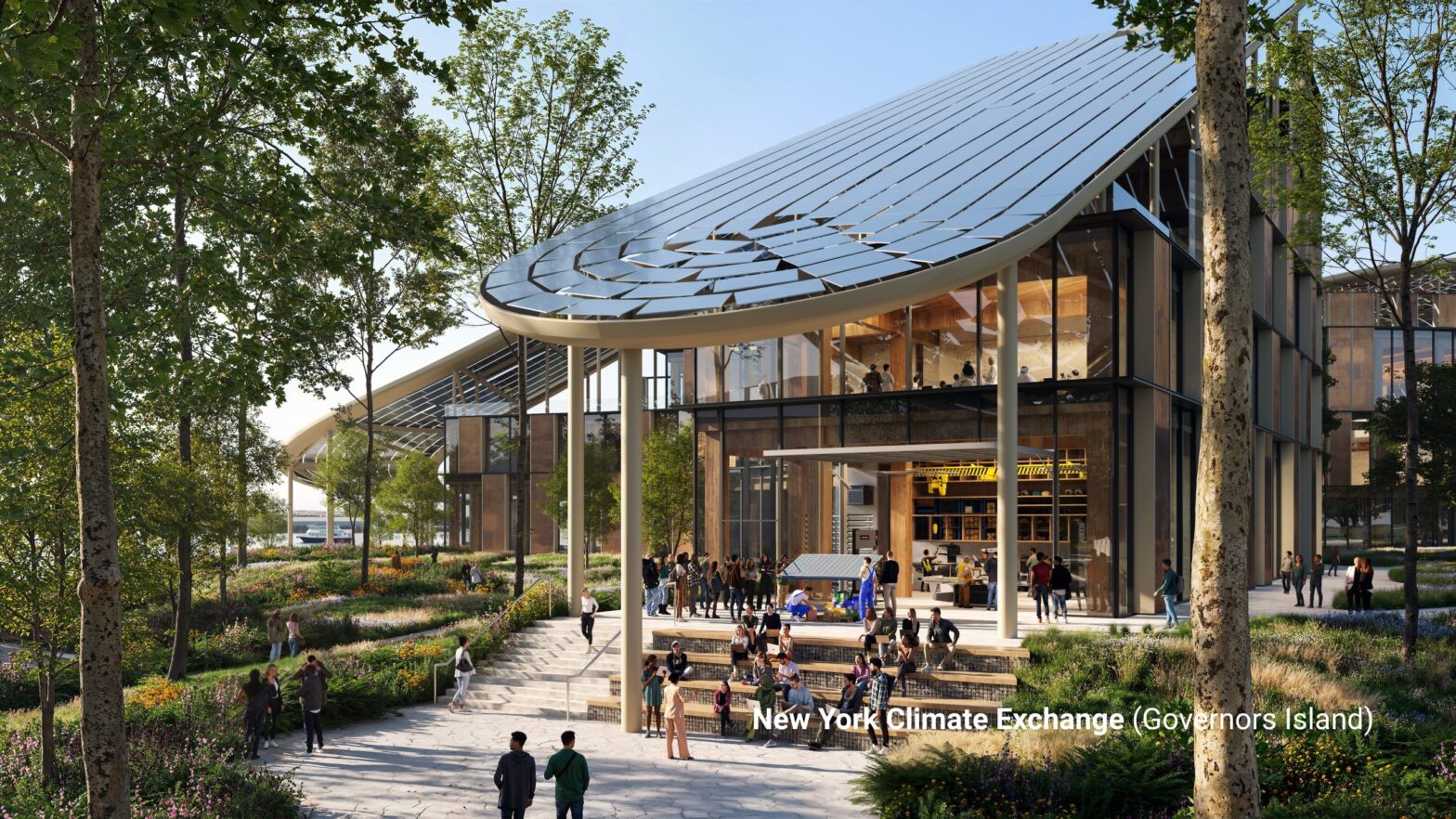 Mass wood projects for the NYC Climate Innovation Studio selected