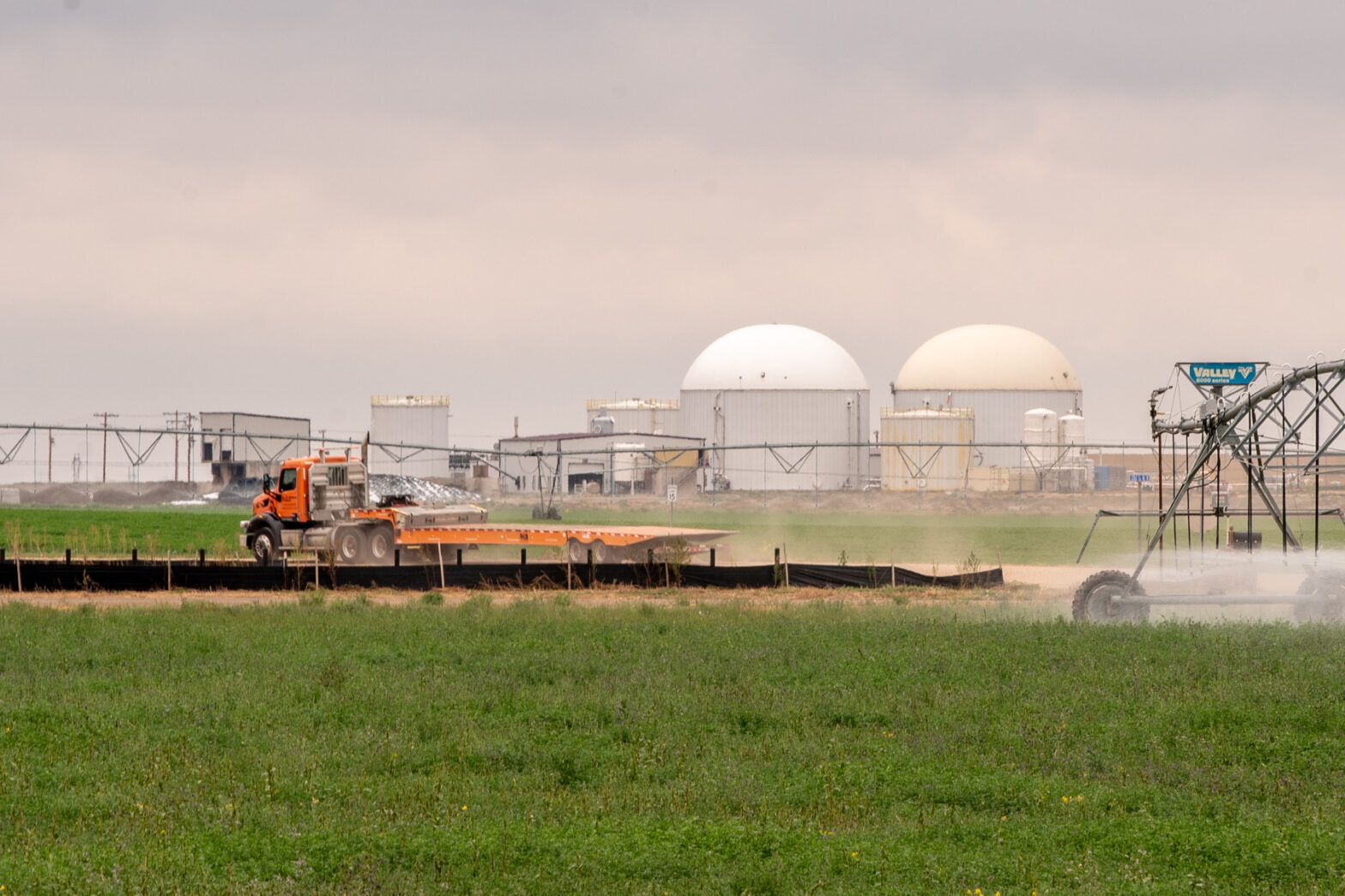 Osha examines the death of 6 workers on the Dairy Farm near Keenesburg