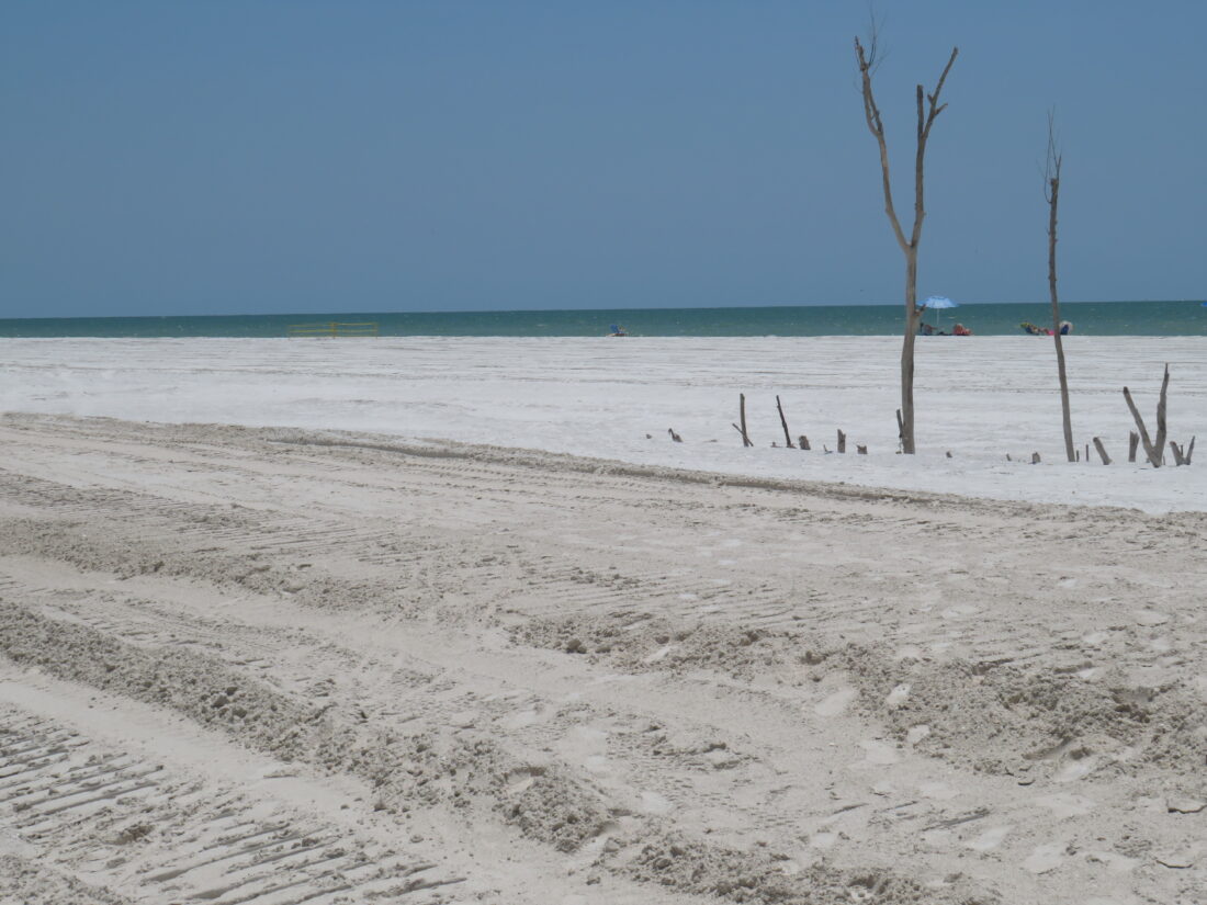 Food completely on Fort Myers Beach - Fort Myers