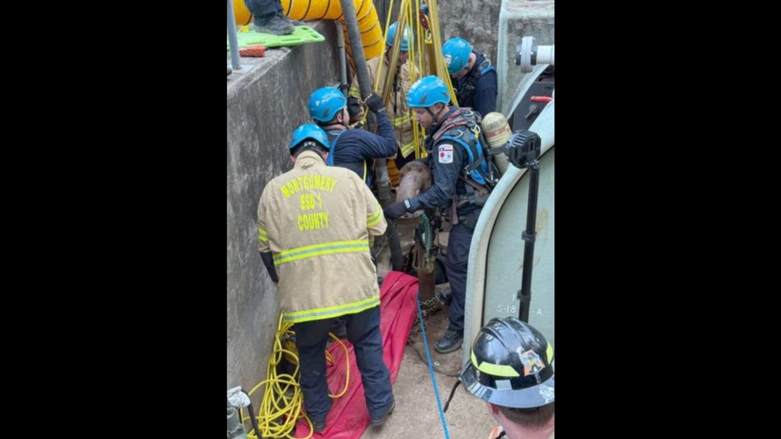 3 Texas workers who were killed with toxic gas in the wastewater treatment plant