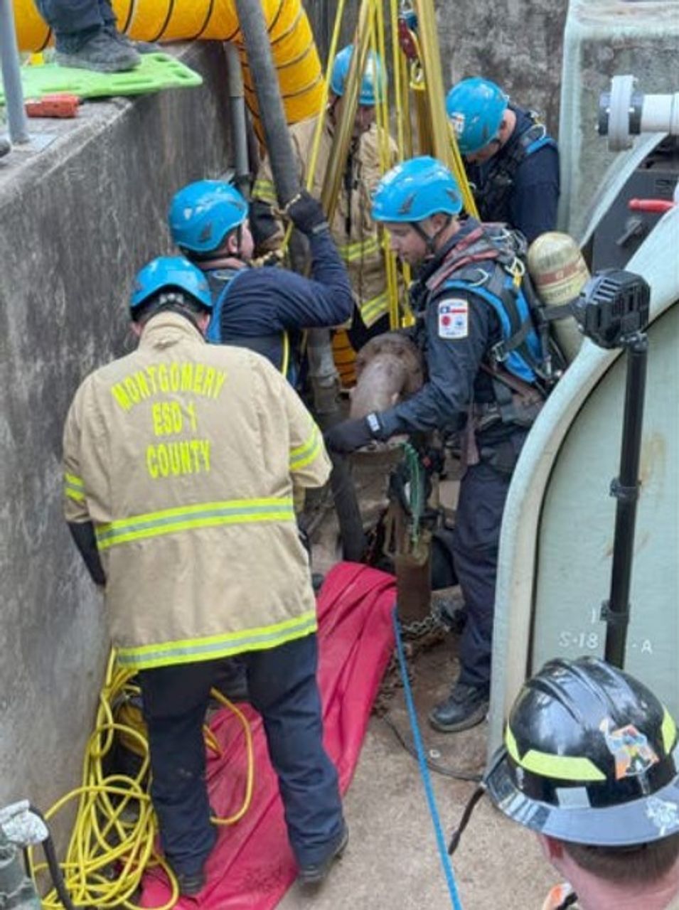 3 Texas workers who were killed with toxic gas in the wastewater treatment plant