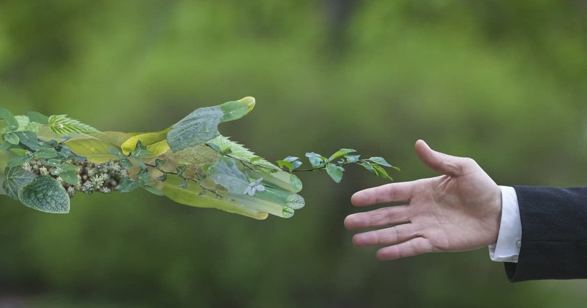 Barclays, HSBC & Santander: What is sustainable finances?