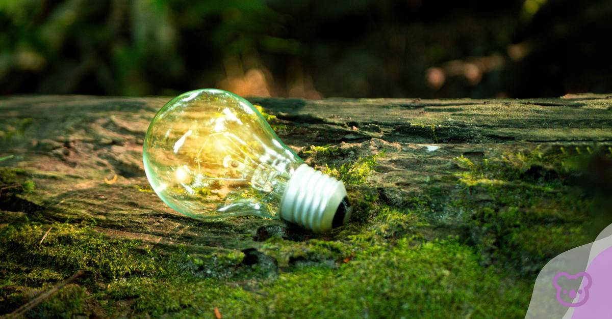 Building a sustainable future through engineering
