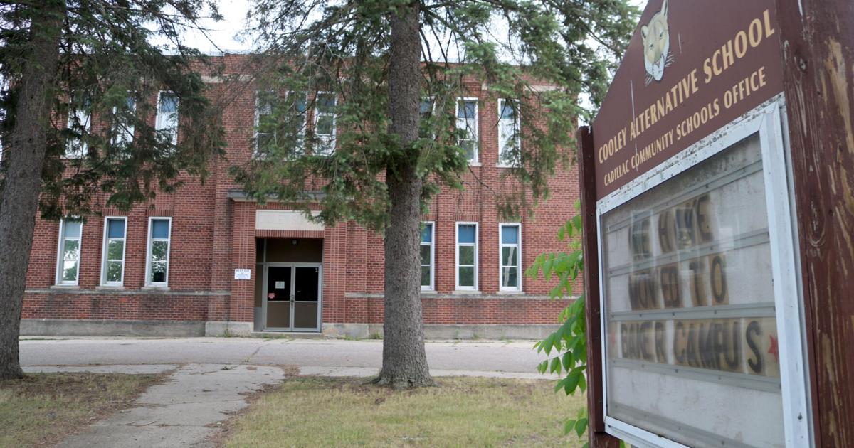Council to consider a creation of tree manager for Cooley renovation |