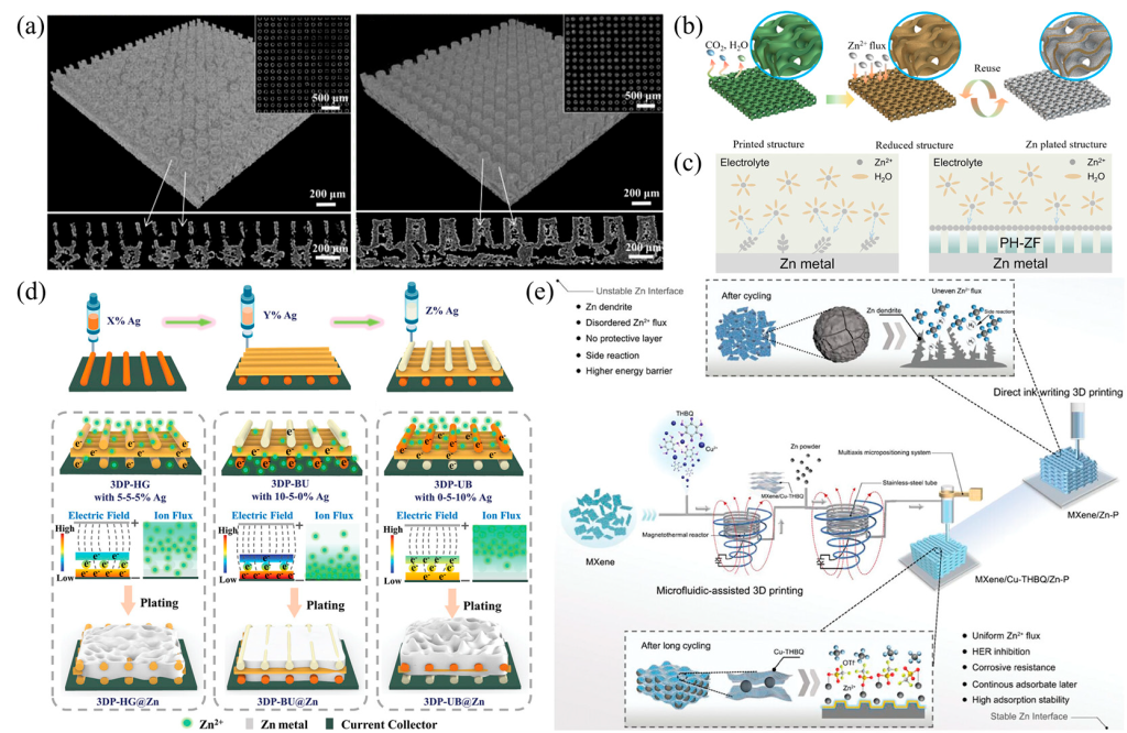 The researchers check the progress in 3D printing for aqueous zinc-ion batteries