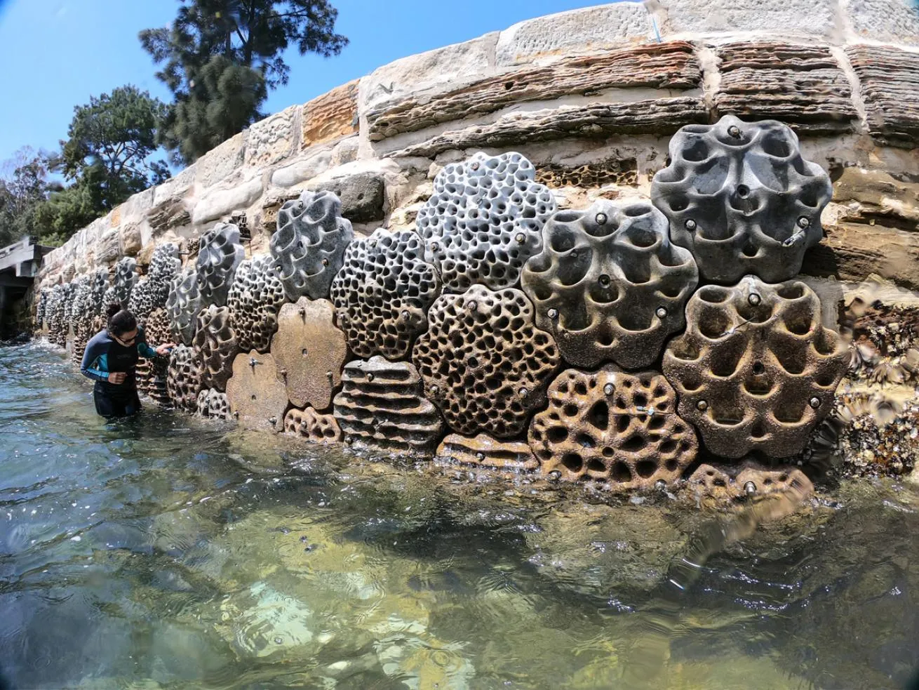 3D printed living wall and Biosher's revive Sydeys Marine Life 4 Sydney's 3D printed residential wall