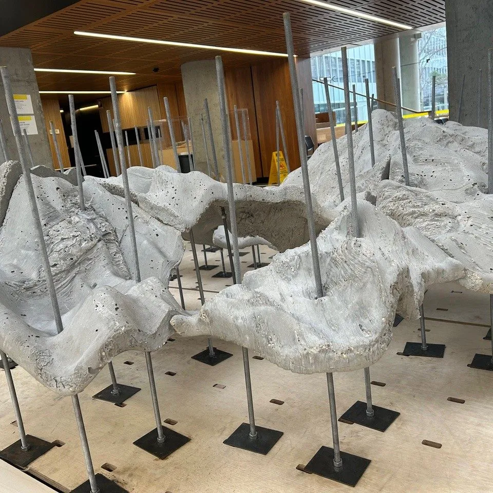 3D printed living wall and bioshwerters revive Sydeys Marine Life 7 Sydney's 3D printed residential wall