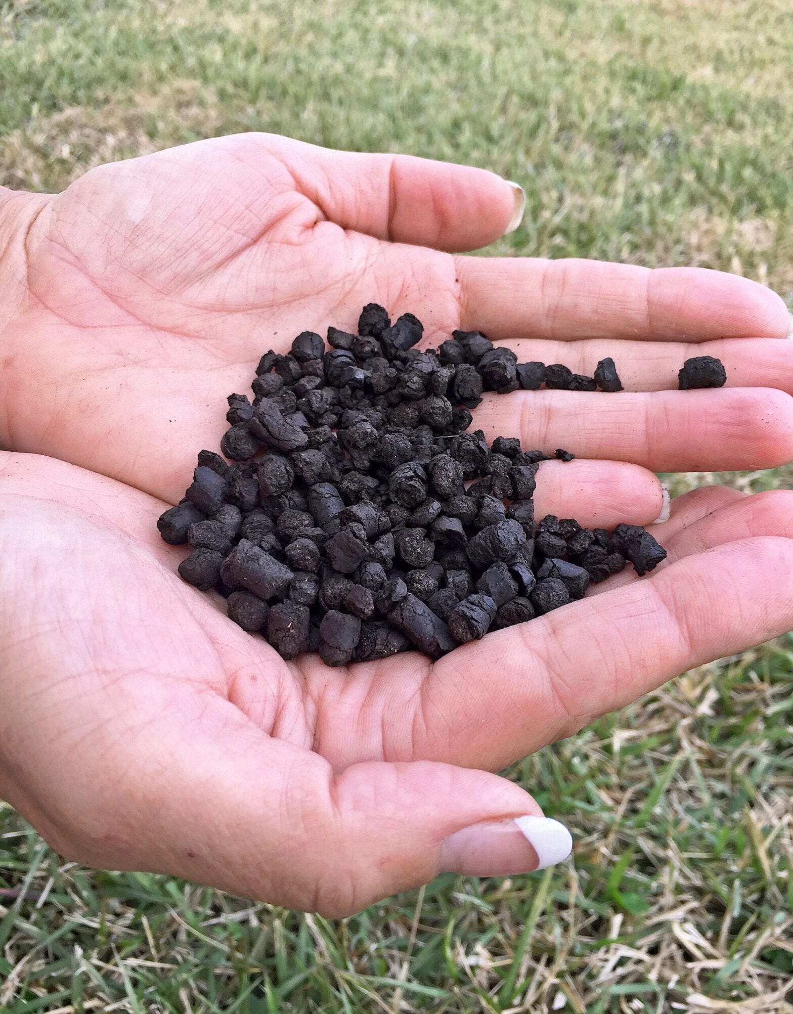 Increasing consistency on the market for bio bubble carbon market