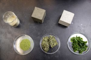 Autumn 2025 News and Research Briefs from the UW