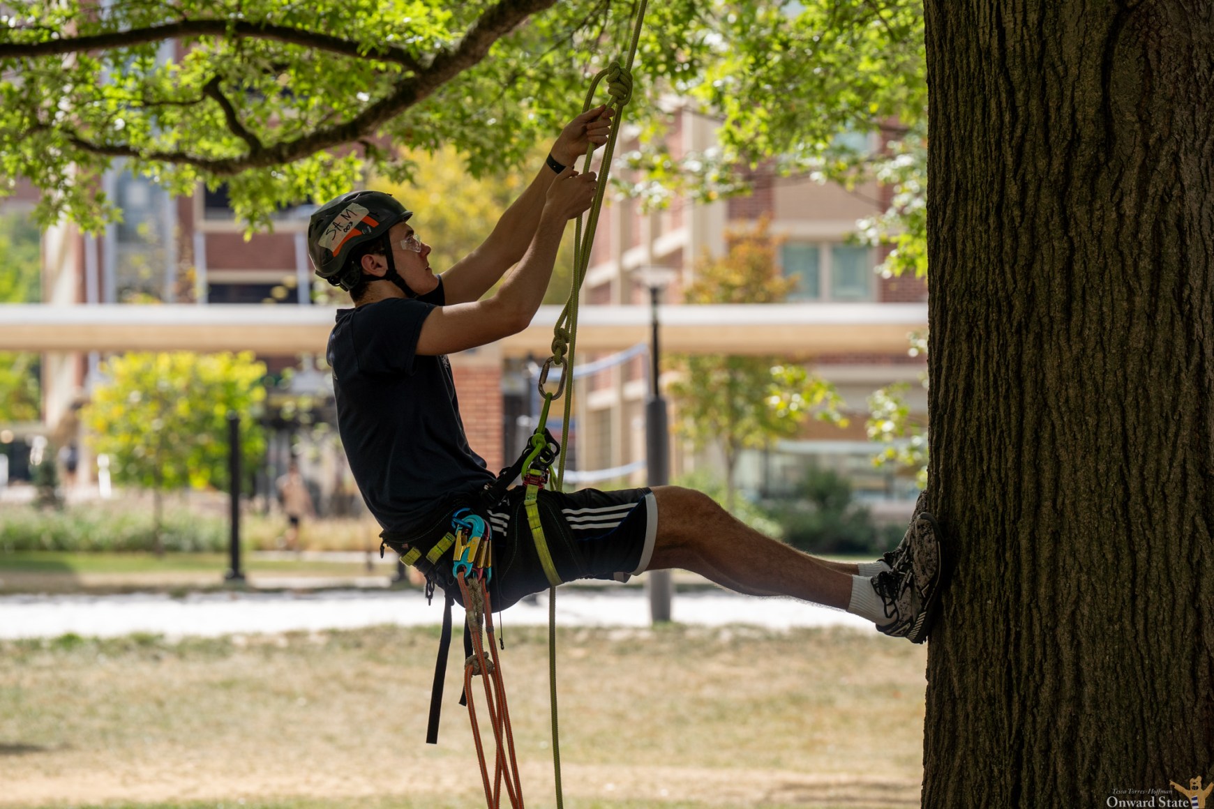 Demolations: A look at the tree climbing class from Penn State