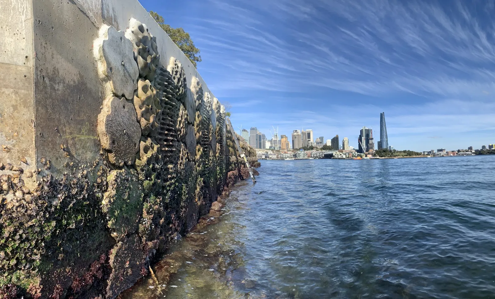 3D printed living wall and Biosher's revive Sydeys Marine Life 2 Sydney's 3D printed residential wall