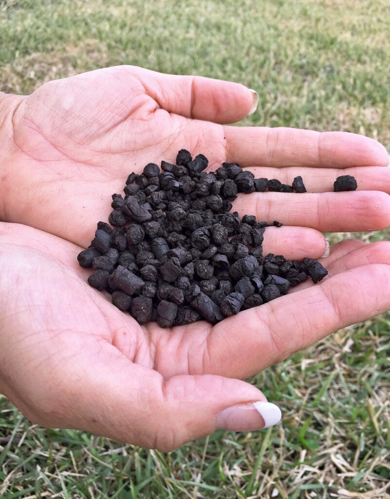 Increasing consistency on the market for bio bubble carbon market