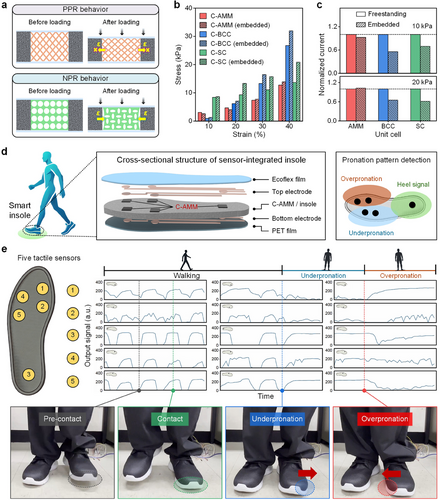 Korean researchers develop a tactile sensor with auxetic metacaterials
