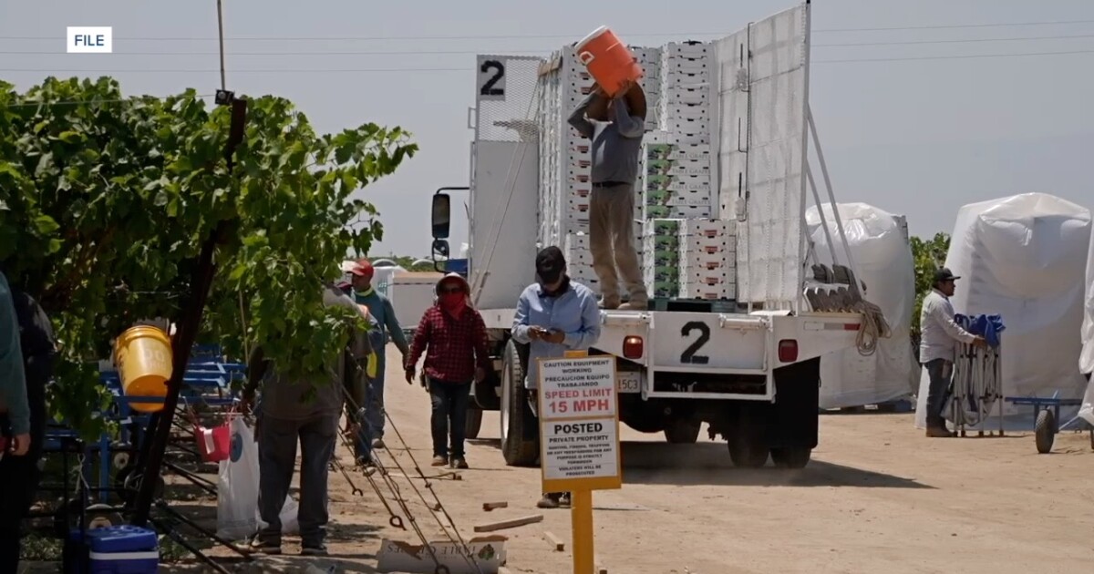 New Cal/Osha unit is aimed at farm security in Kern County