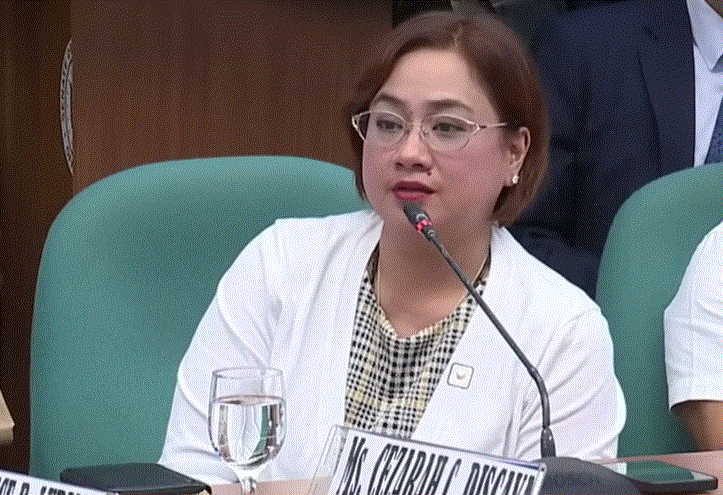 Sarah Discaya, contractor skip house hearing for flood protection projects
