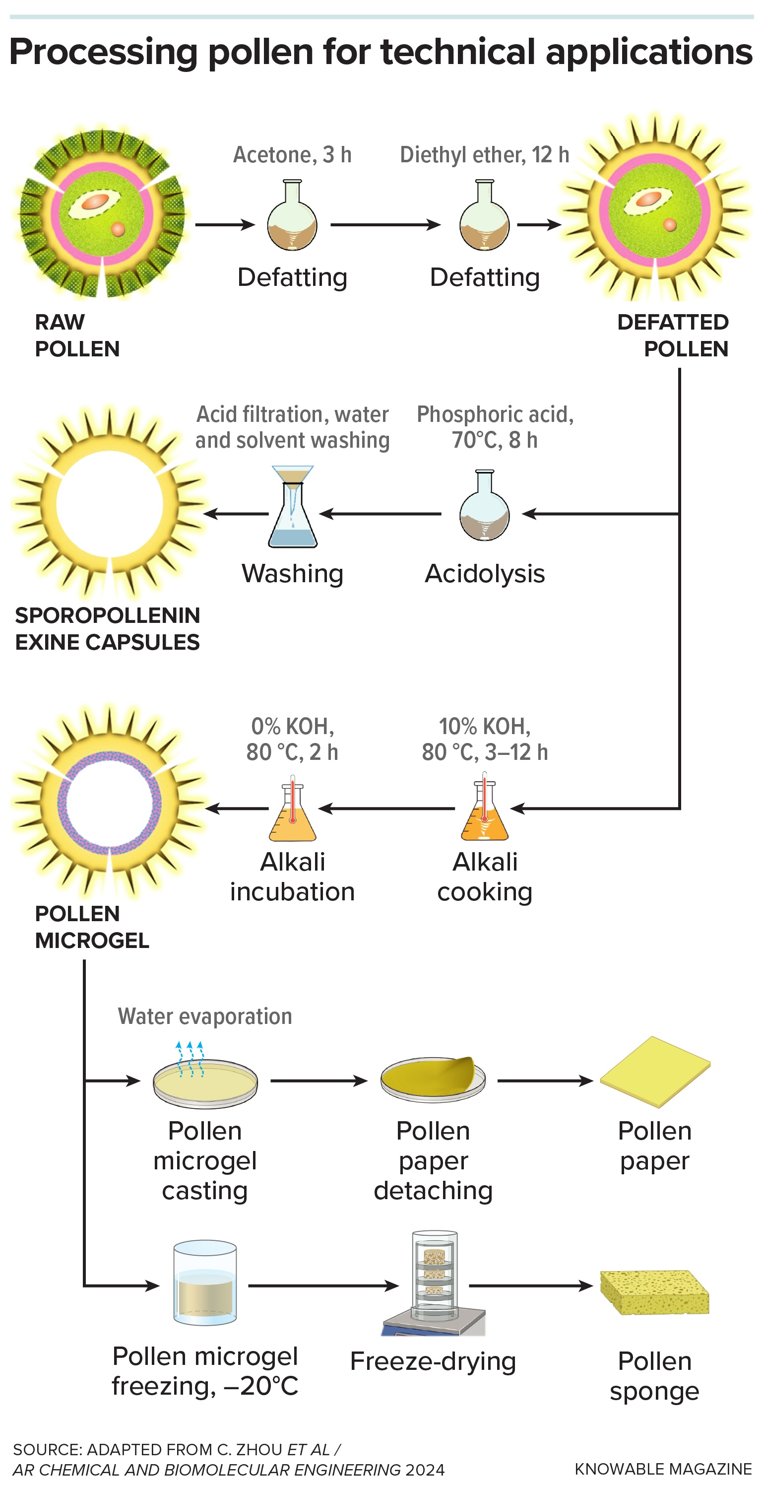 A diagram that shows how pollen can be processed for technical applications