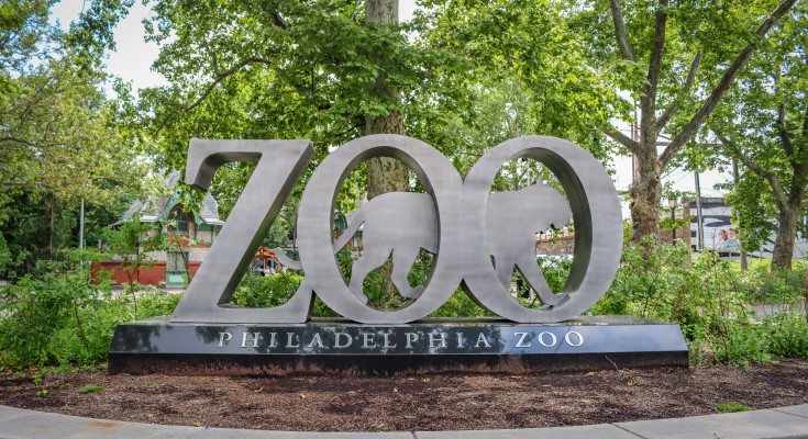The Philadelphia Zoo ensures rare 50-year-old accreditation strips
