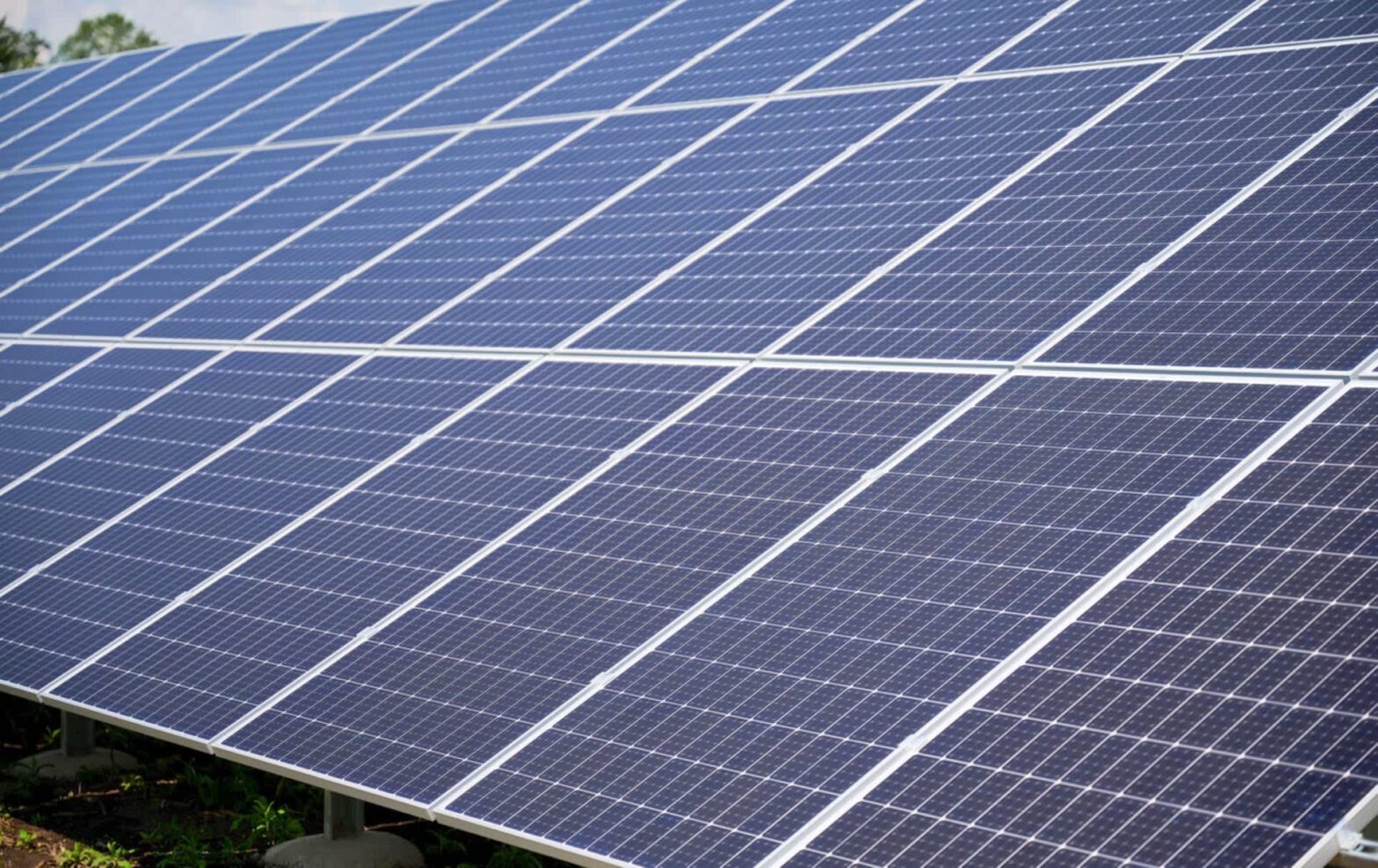 The great society signs a decisive agreement to increase energy reliability: "Let us bring us"