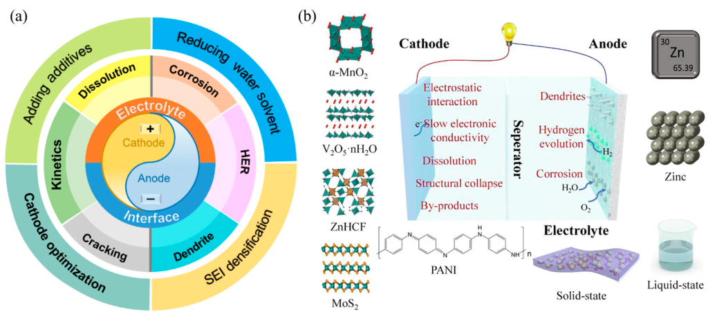 The researchers check the progress in 3D printing for aqueous zinc-ion batteries