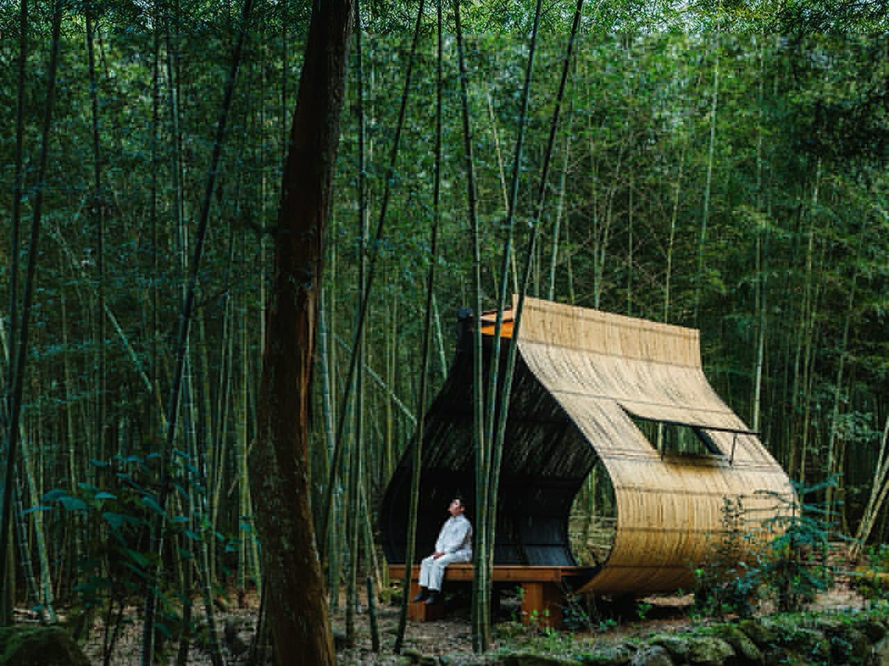 5 Bamboo Products That Replaced Plastic and Carbon Fiber (Even in the Herman Miller Chair)