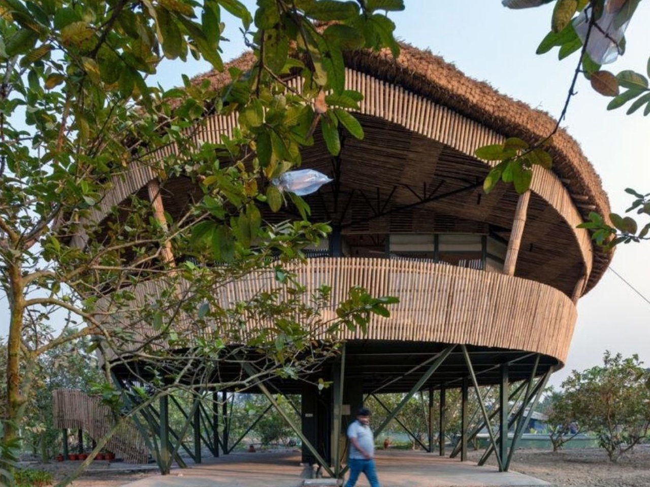 5 Bamboo Products That Replaced Plastic and Carbon Fiber (Even in the Herman Miller Chair)