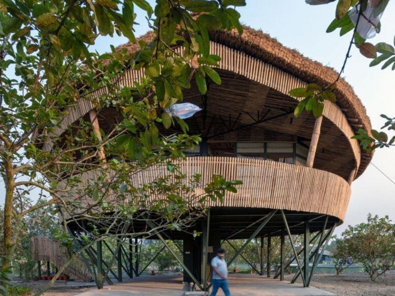 5 Bamboo Products That Replaced Plastic and Carbon Fiber (Even in the Herman Miller Chair)