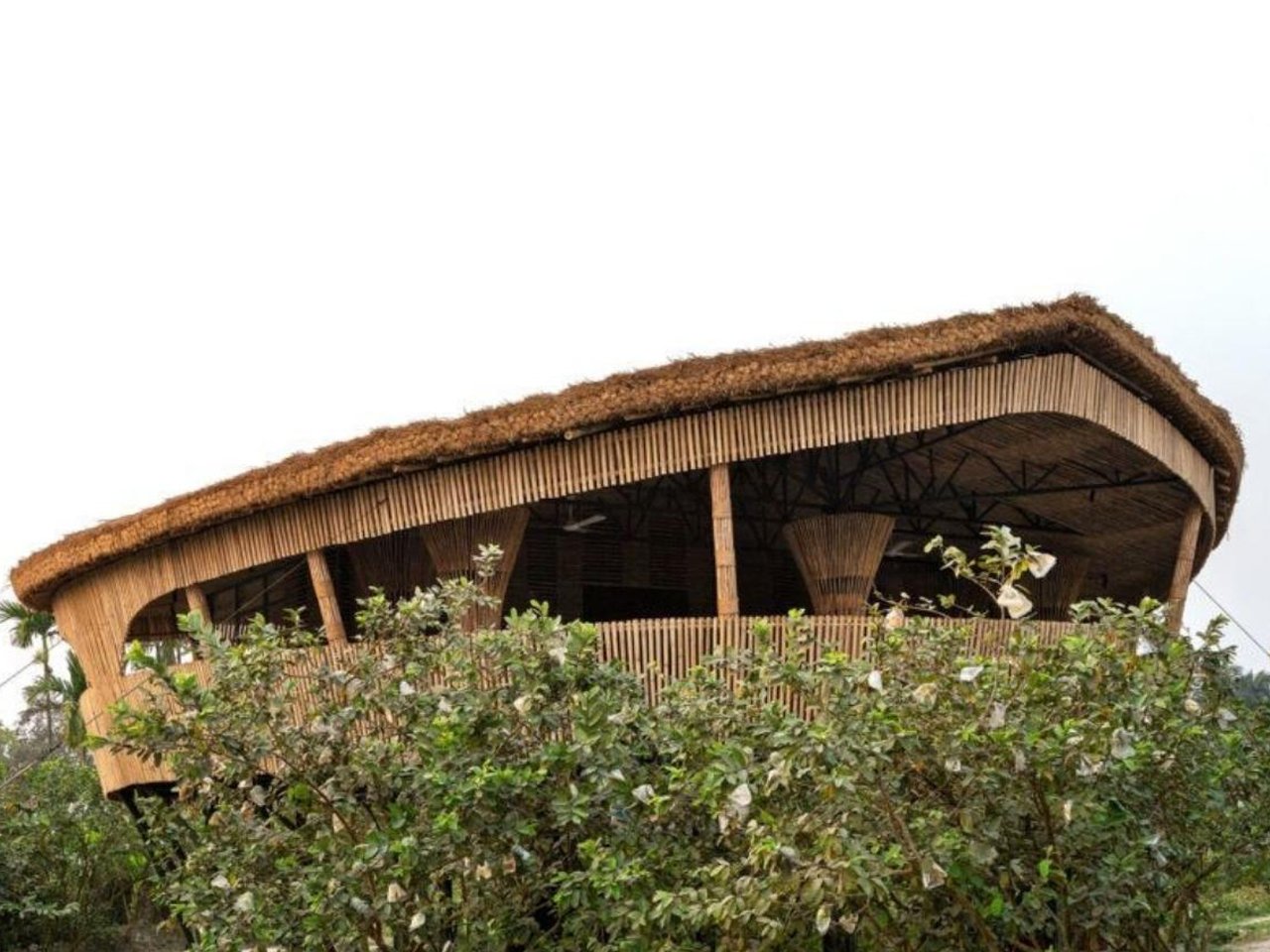 5 Bamboo Products That Replaced Plastic and Carbon Fiber (Even in the Herman Miller Chair)