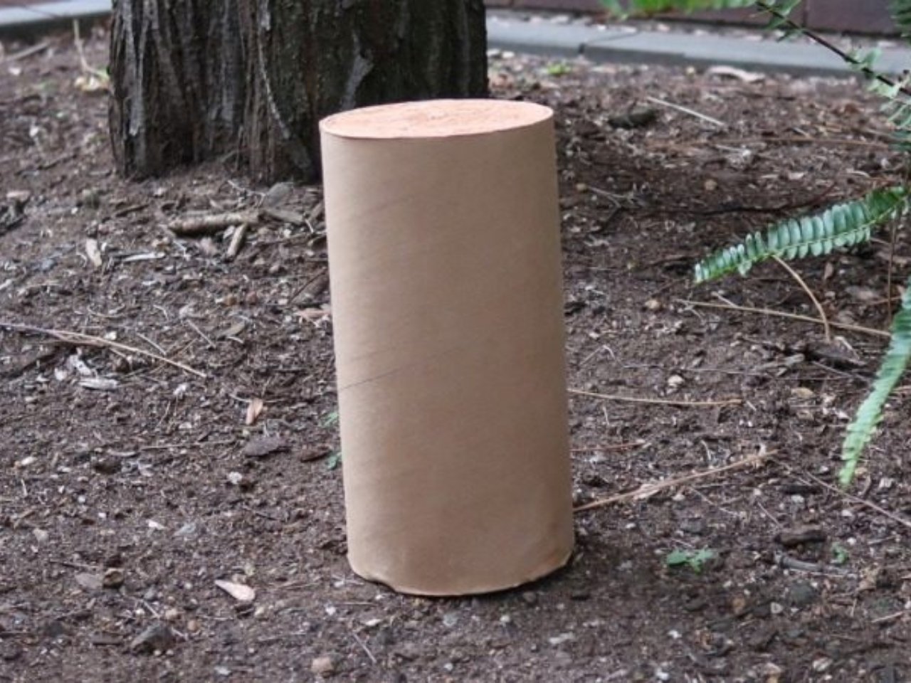 Building with Earth and Cardboard: A Construction Game Changer