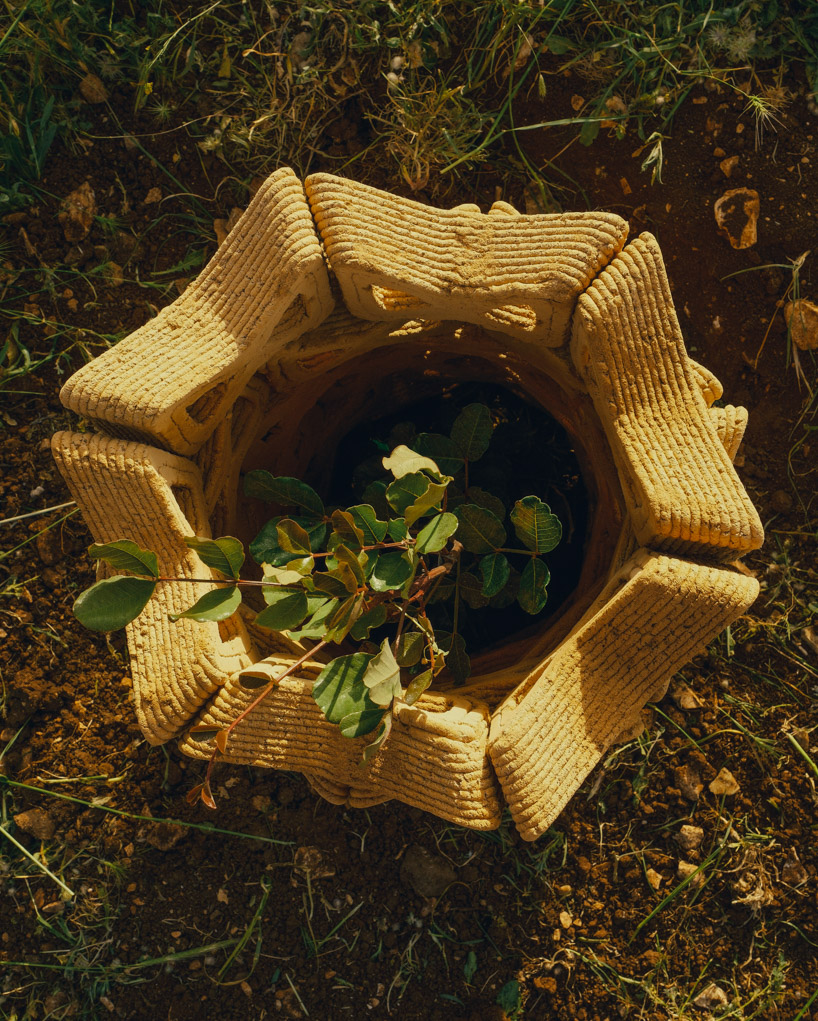 3D printed interlocking bricks form an earthen microclimate shelter for tree seedlings