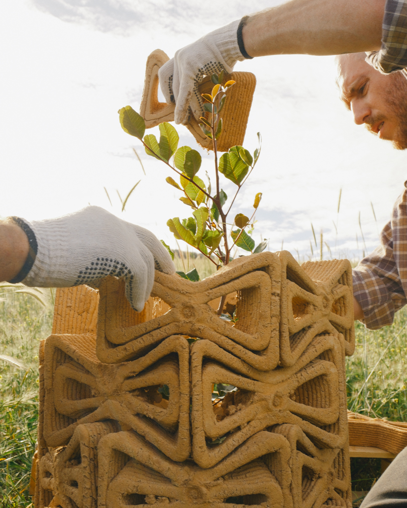3D printed interlocking bricks form an earthen microclimate shelter for tree seedlings