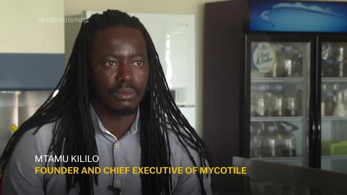 A mushroom farm in Kenya and mushroom-based panels offer hope for sustainable construction