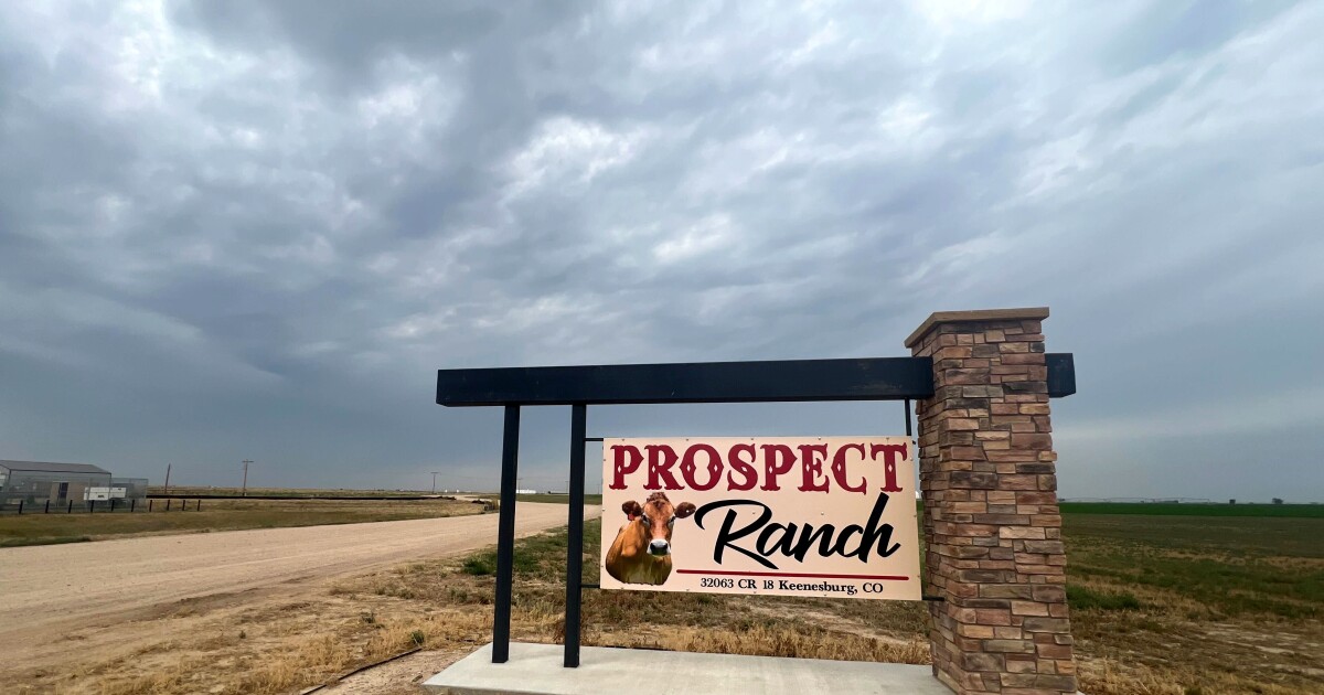 The coroner's report on 6 deaths at a Colorado dairy indicates exposure to toxic gases